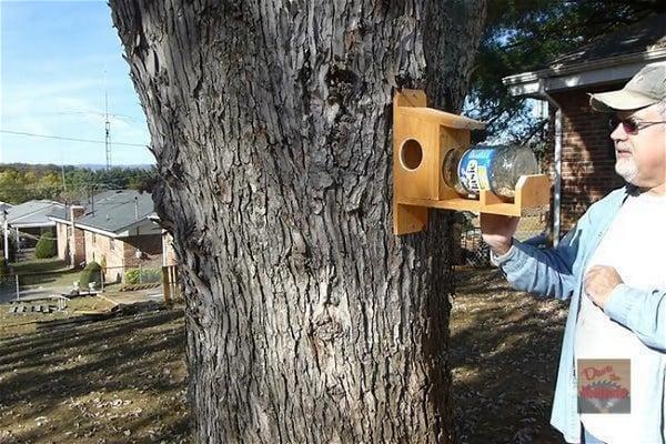 How To Make A Squirrel Feeder 2