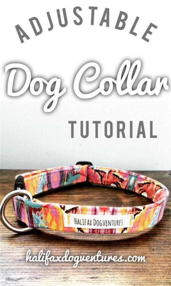 How To Make An Adjustable Dog Collar