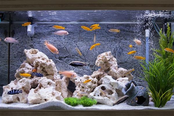 DIY Fabric Aquarium Background 