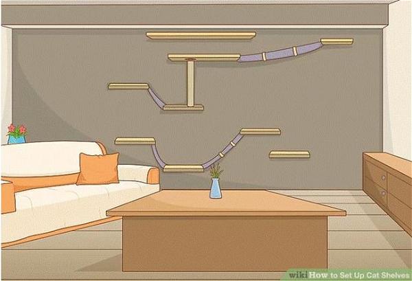How To Set Up Cat Shelves
