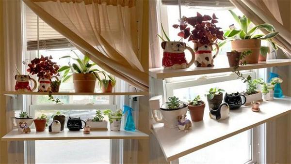 Indoor Window Shelf For Plants