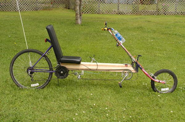 Low Drivetrain Wooden Bike