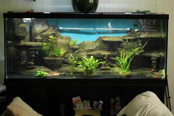 Make a 3D Aquarium Background