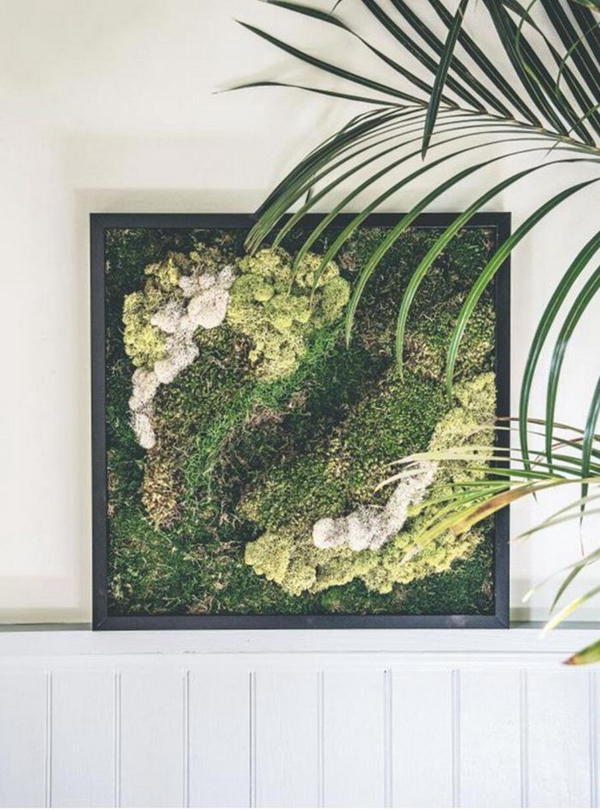 Preserved Moss Wall Art