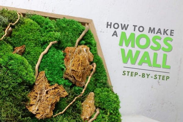 23 DIY Moss Wall Art - How To Make A Moss Wall - Mint Design Blog