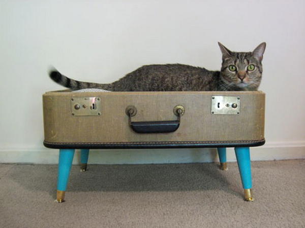 Suitcase Pet Bedding