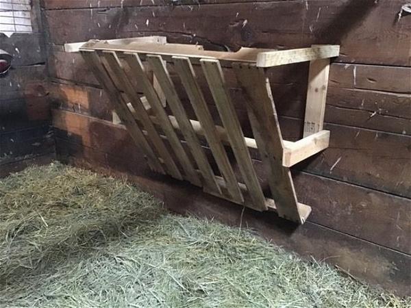 Wall-Mounted Goat Hay Feeder