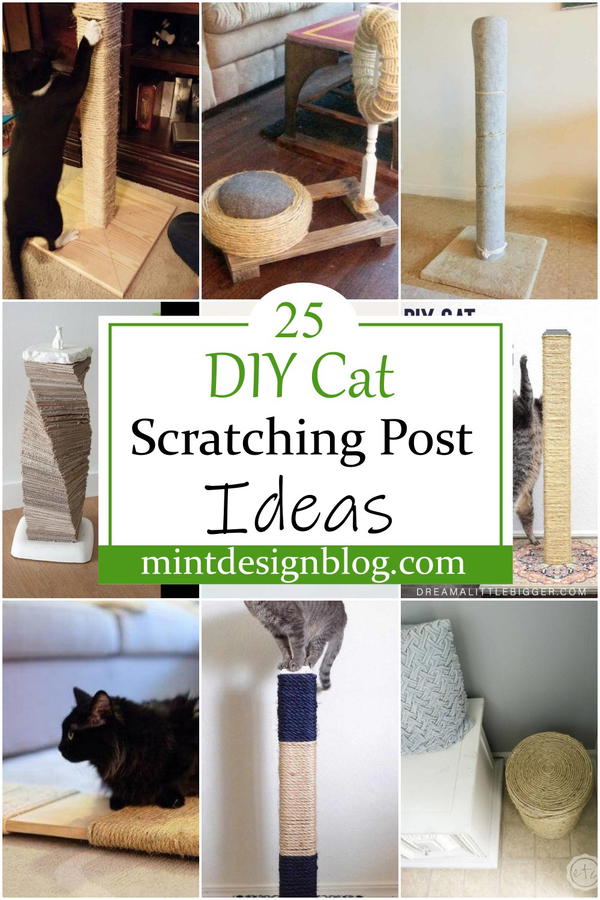 Easy cat outlet scratching post