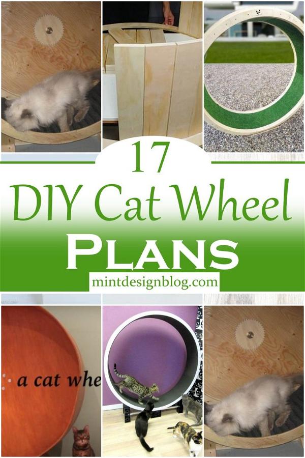 17 DIY Cat Wheel Plans Mint Design Blog