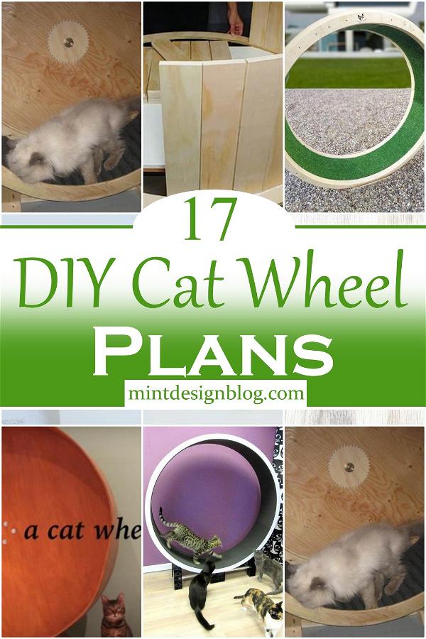 DIY Cat Wheel Plans 2