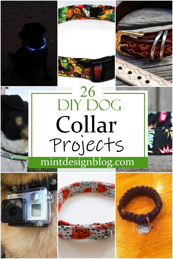 DIY Dog Collar Projects 1
