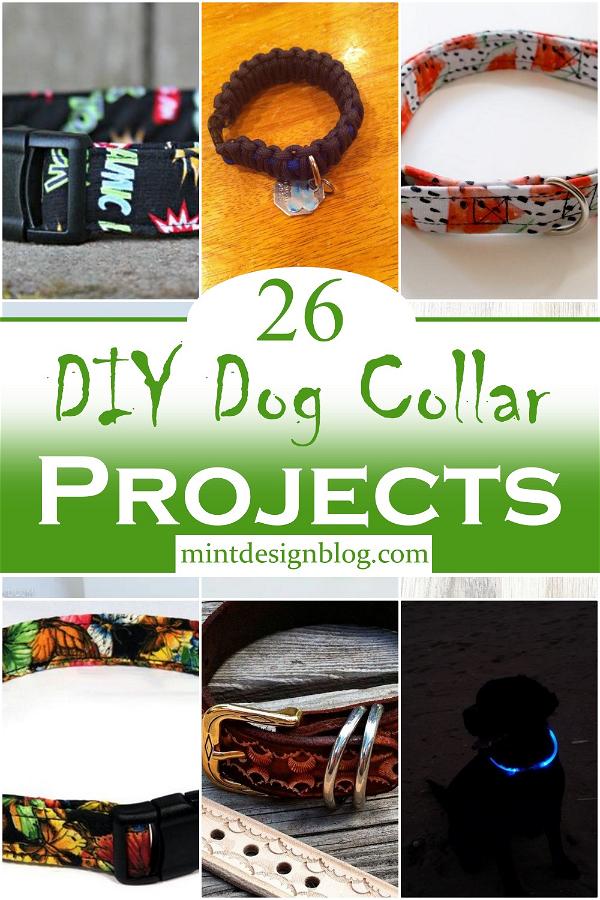 DIY Dog Collar Projects 2