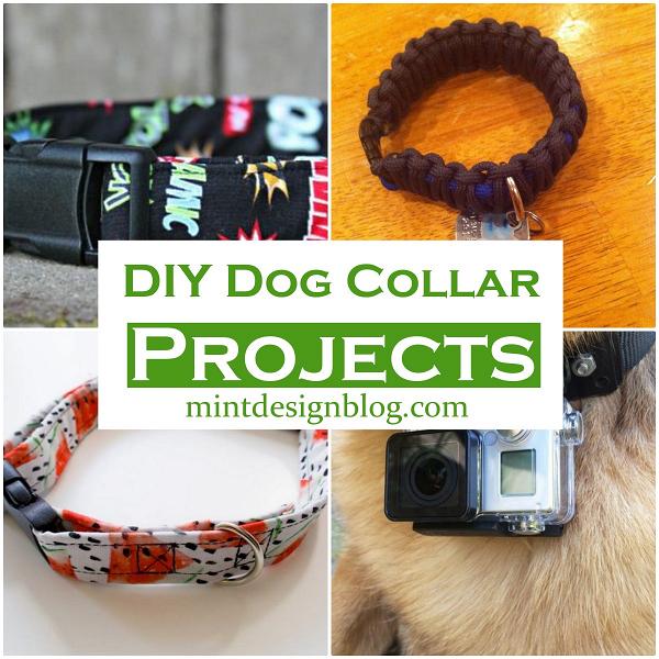 DIY Dog Collar Projects