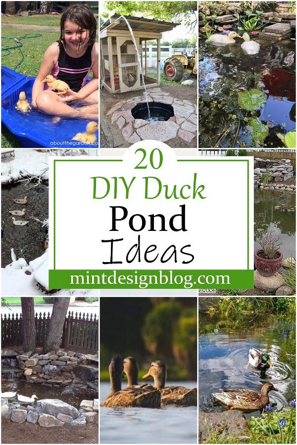 DIY Duck Pond Ideas 1