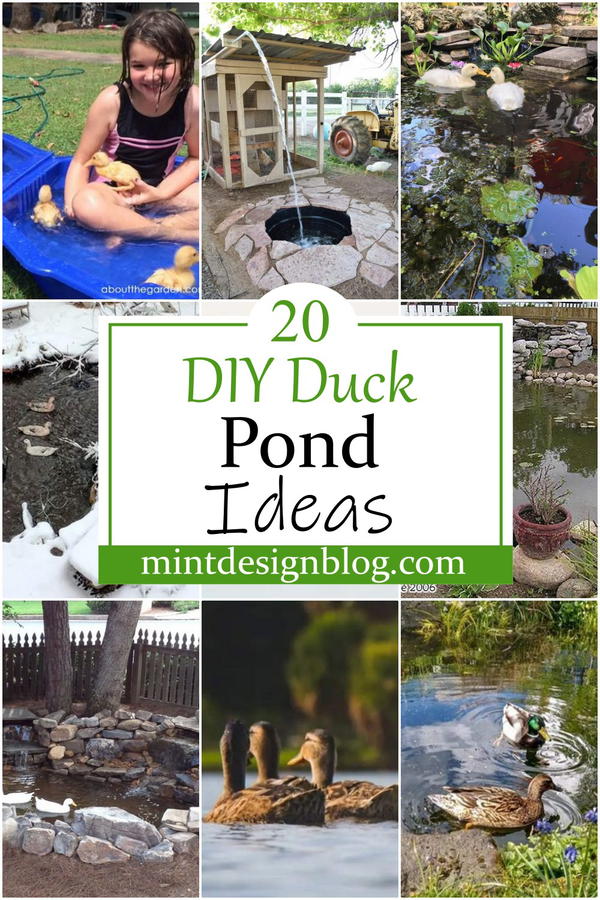 DIY Duck Pond Ideas 1