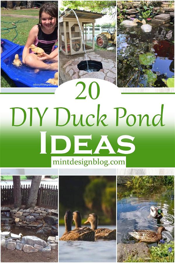DIY Duck Pond Ideas 2