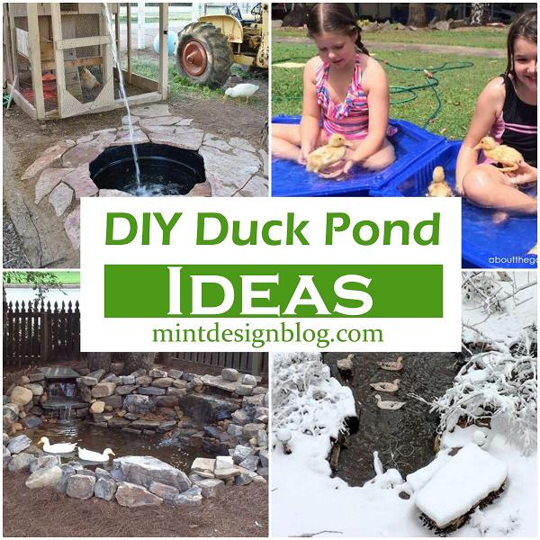 DIY Duck Pond Ideas