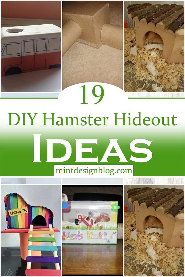 DIY Hamster Hideout Ideas 1