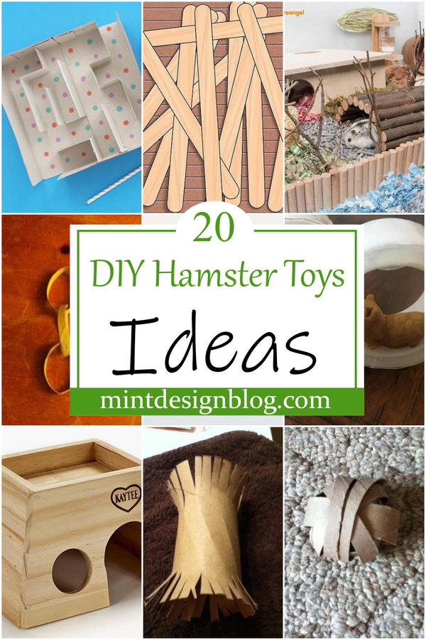 Diy hamster outlet toy