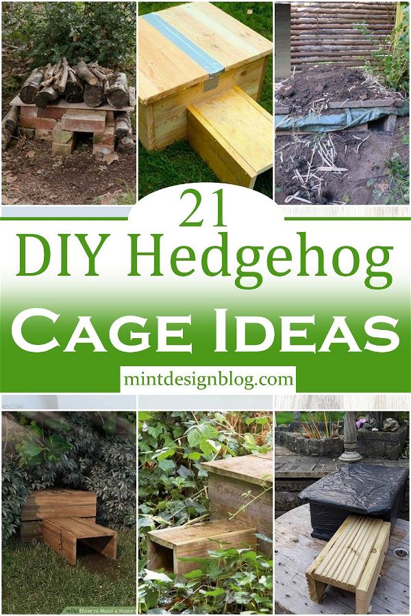 DIY Hedgehog Cage Ideas 1