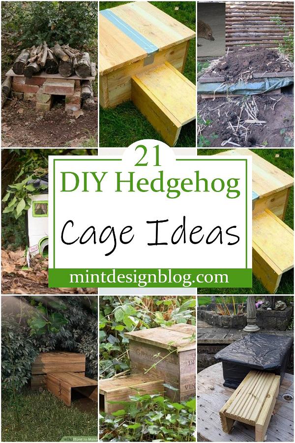 DIY Hedgehog Cage Ideas 2