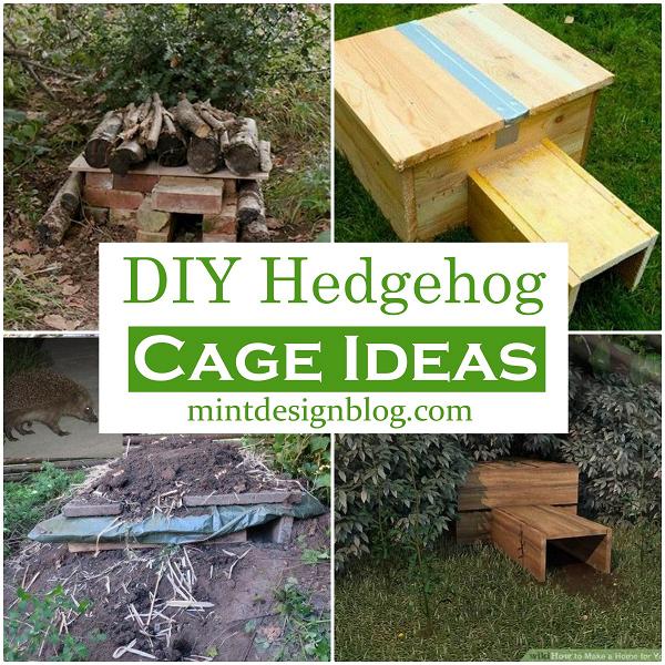 DIY Hedgehog Cage Ideas