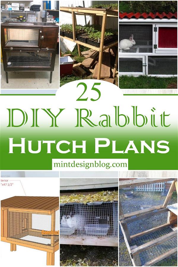 DIY Rabbit Hutch Plans 2