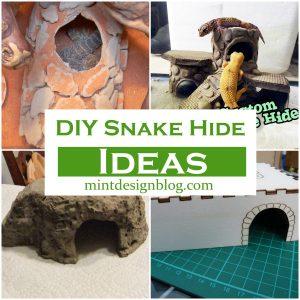 DIY For Animal Archives - Mint Design Blog