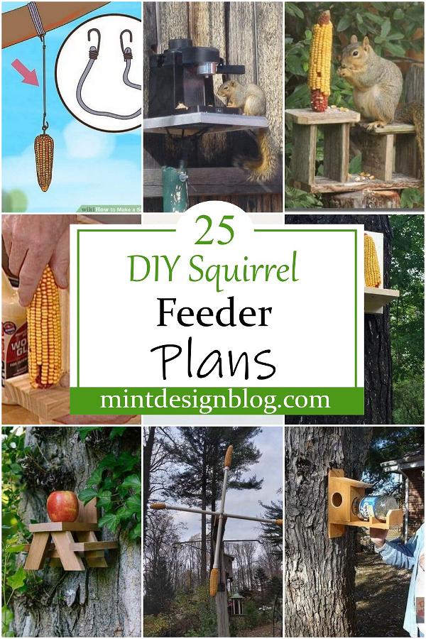 DIY Squirrel Feeder Plans 1