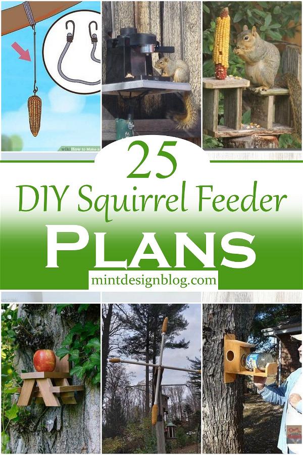 DIY Squirrel Feeder Plans 2