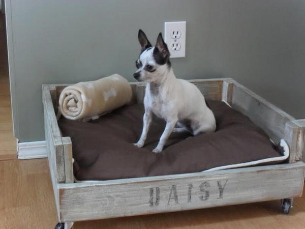 Durable DIY Pet Bed