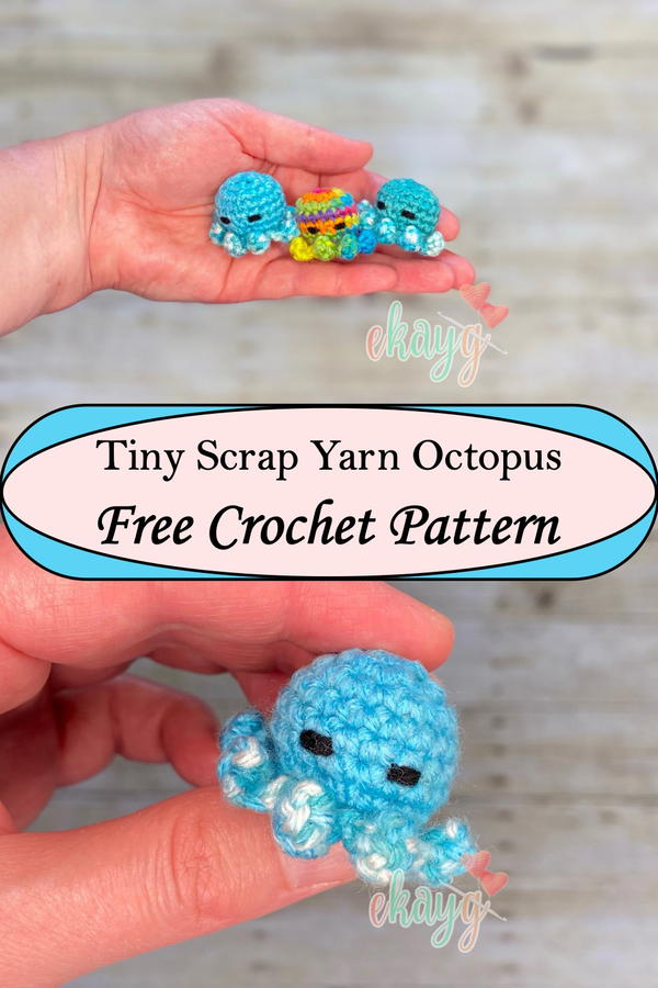 Tiny Scrap Yarn Octopus