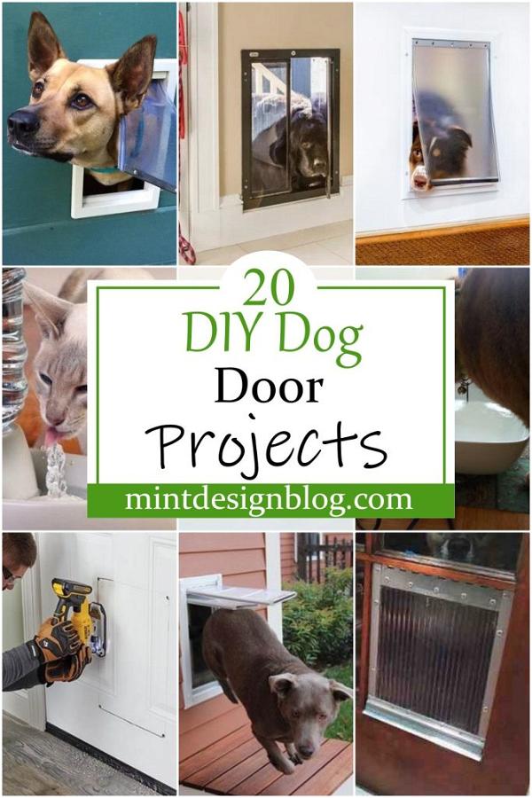 20 DIY Dog Door Projects You Can Build Today - Mint Design Blog