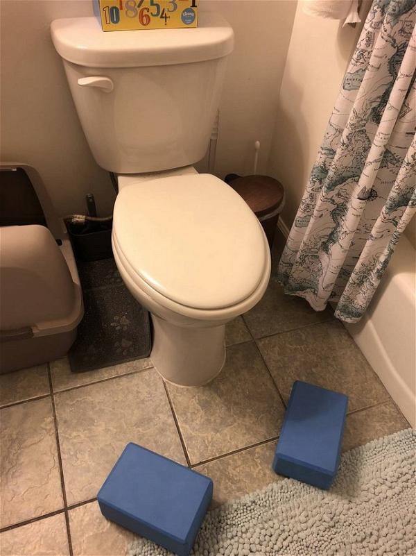 Best Squatty Potty Alternative