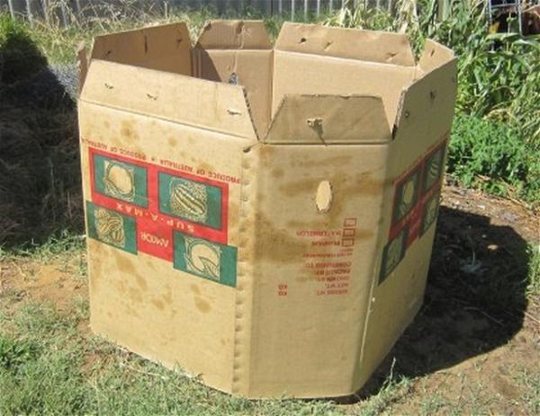 Cardboard Compost Box