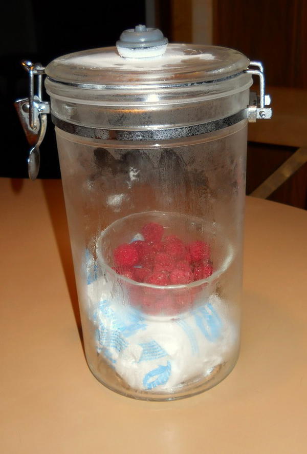 DIY At Home Freeze Dryer