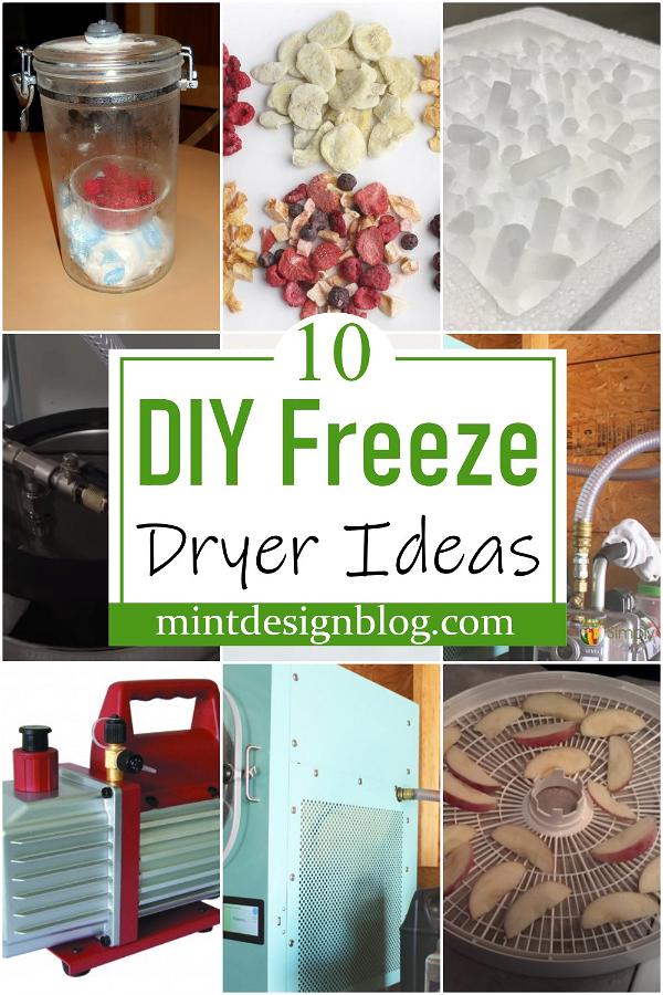 DIY Freeze Dryer Ideas