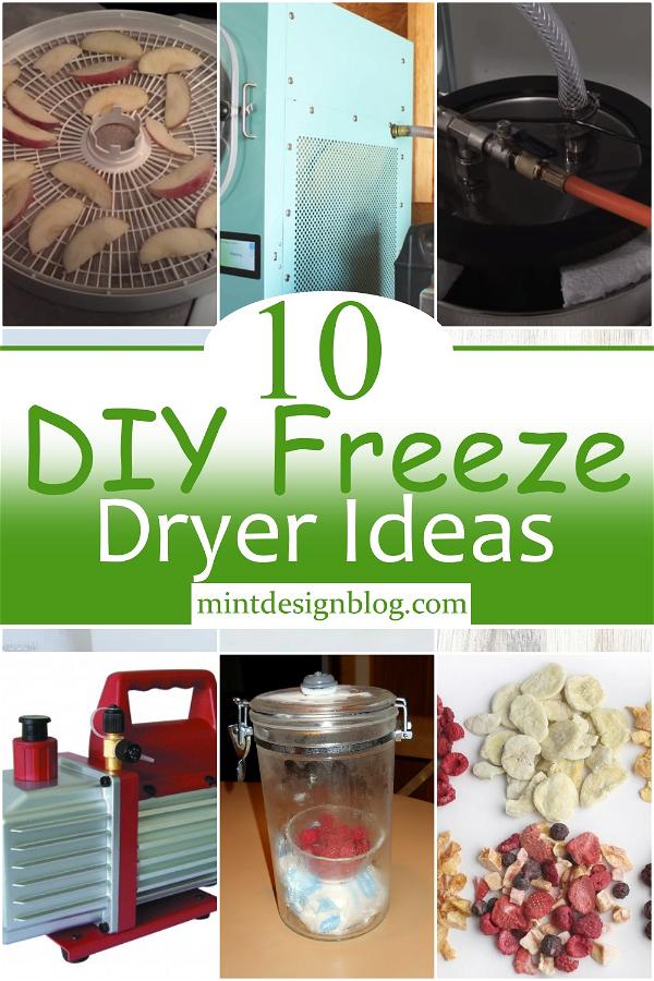DIY Freeze Dryer Plans