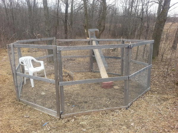 Playpen For Rabbits