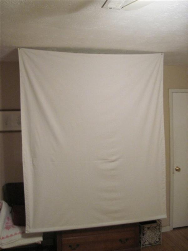 DIY Portable Projector Screen