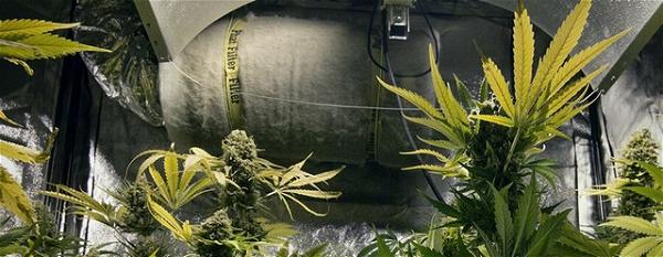 Grow Tent Filter Setup