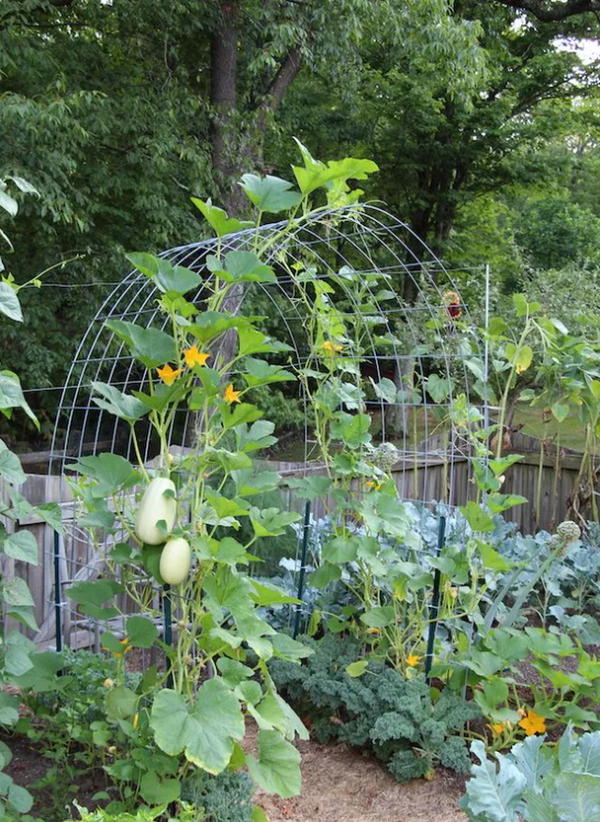 Low Budget Diy Garden Decor With Cattle Panel Trellis