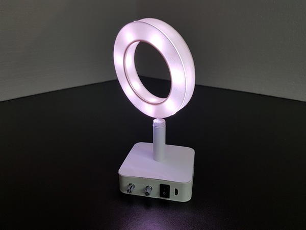 Mini Led Ring Light Idea