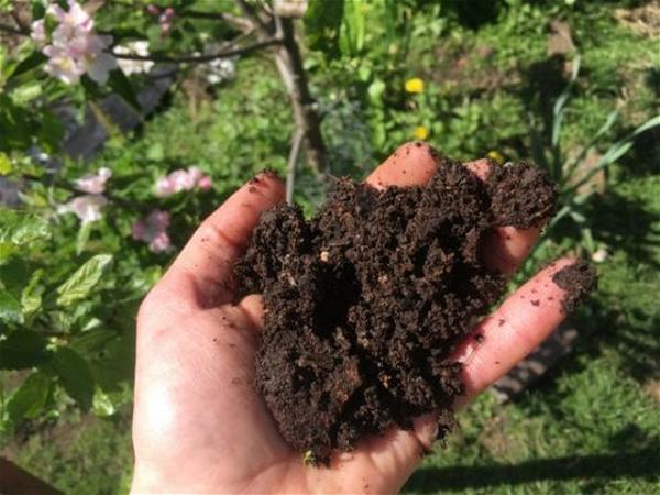 No-Flush Compost Toilet