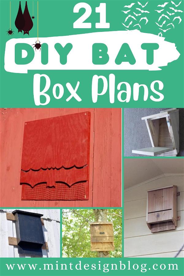 DIY Bat Box Plans