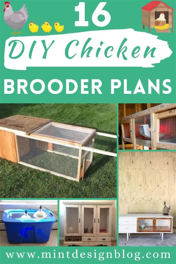 16 DIY Chicken Brooder Plans - Mint Design Blog