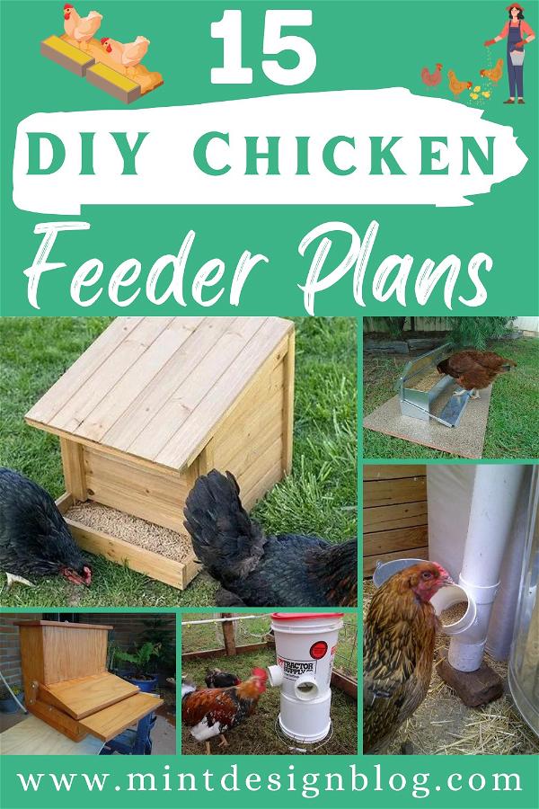  DIY Chicken Feeder Plans