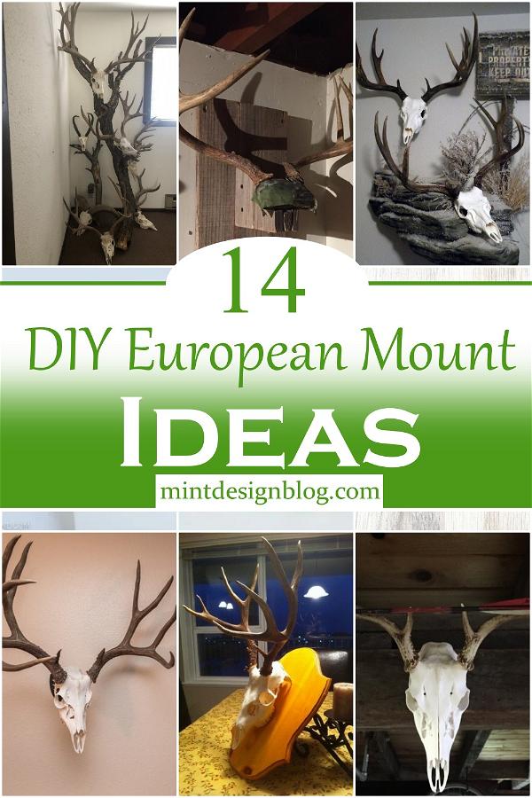 DIY European Mount Ideas 1