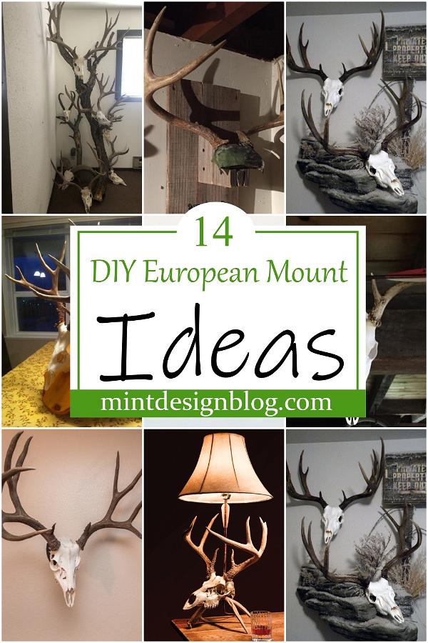 DIY European Mount Ideas 2