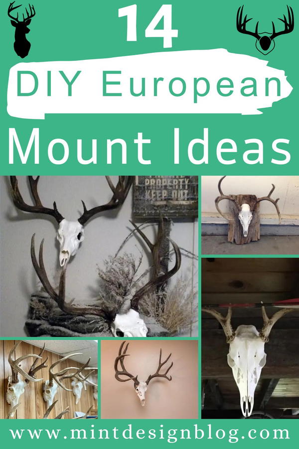 DIY European Mount Ideas